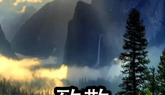 慢热型深夜排片
